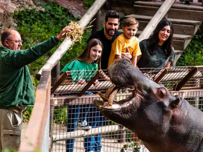 Selwo Aventura Selwo Aventura