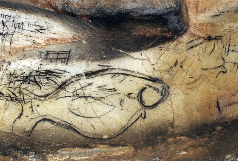 cueva de la pileta málaga